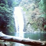 【口コミ・体験談】熊野那智神社・那智の滝を前に心が澄んで、癒され感マックス！